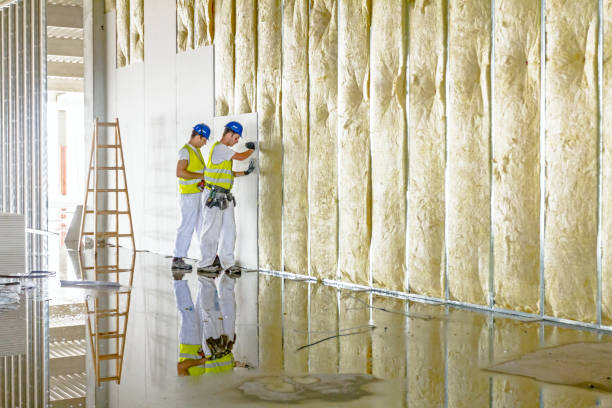 Best Spray Foam Insulation  in Kalamazoo, MI